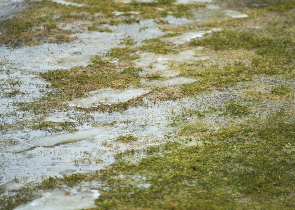 yard water